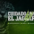 Artwork for NUEVO HIMNO DE CHIAPAS JAGUAR