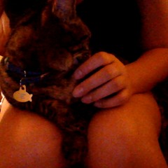 Occupying