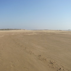 Desert Cadillac