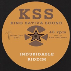 Indubidable Riddim
