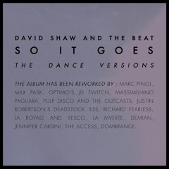 David Shaw and The Beat - Single Serving Friend (Demian "Rouge" Remix)