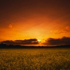 Enjoin The Good & Forbid The Evil By Abu Idress 28 - 11 - 2014