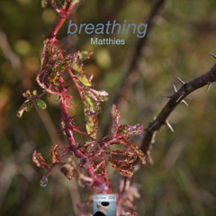 Exhale Diaphanous Leaves (Matthies)