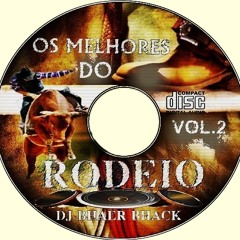 CD OS MELHORES DO RODEIO VOL.2 -  LOCUTOR ALAN MORENO - GINO E GENO - AI NOIS BEBE 2015