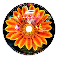 TECHO TRONIC -PUMP UP THE JAM (E - DJ ,REMIX 2014 )