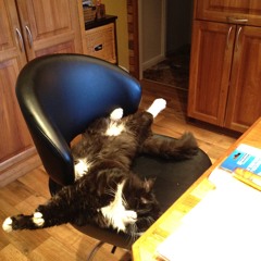 The Ride ft. Daniel Coombe