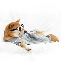 Chillin' and doing beats...