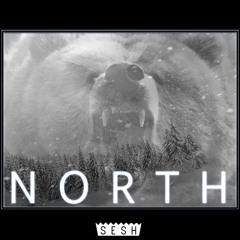 Brother Bear x DRIP-133 x Kodyak