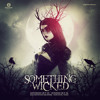 Deorro - Live @ Something Wicked 2014 (Houston)
