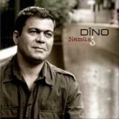 Dino- be te nabe
