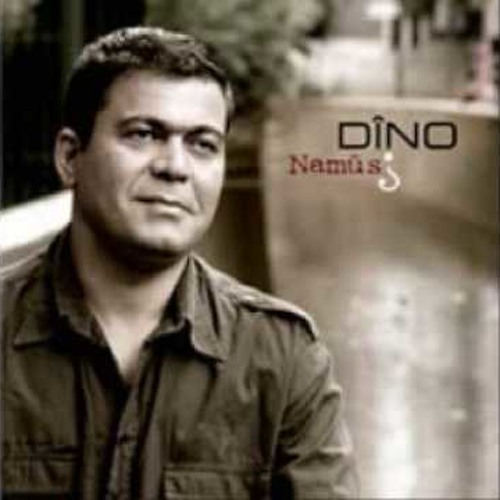 Dino- be te nabe