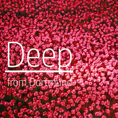 14_11 - Deep from Dortmund
