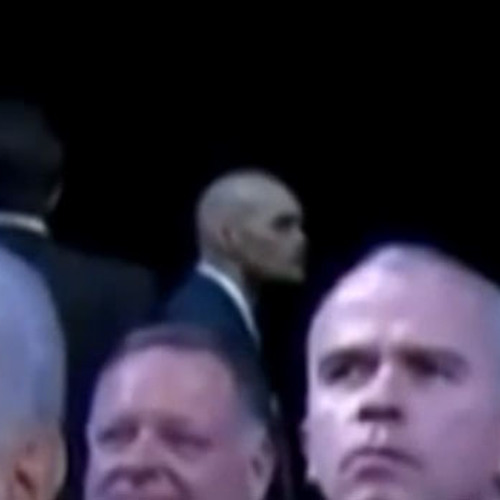 Subscribers To The Mystery