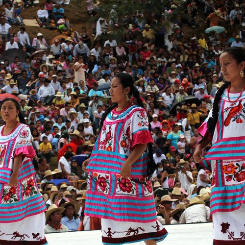 Stream Flor De Naranjo - Huautla de Jimenez, Oax. by William Alvarado ...