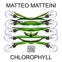 [Purple Music] Chlorophyll (Original Mix)