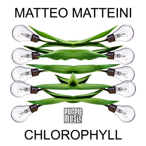 [Purple Music] Chlorophyll (Original Mix)