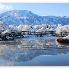 Little Pistols - Mother Mother