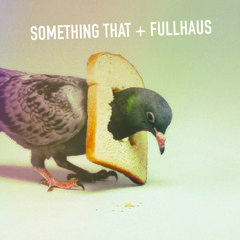 Something That x Fullhaus - Pigeons Be Like (Original Mix)