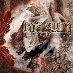 Nasum - Scoop