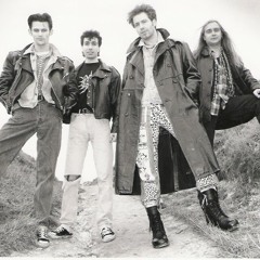 Shake it up - The Works - Performing, Writing & Producing