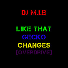 Like That Gecko Changes (Overdrive) - Radio MashUp