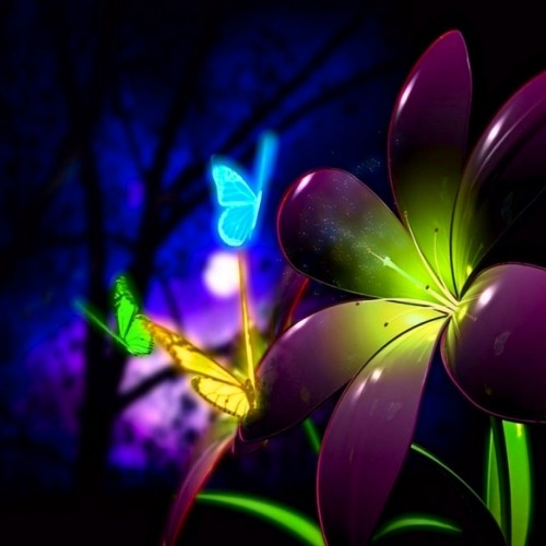 b2ACT - Butterfly ƸӜƷ