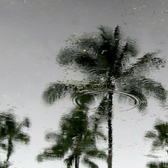 Rain in Mombassa (Original Mix) | by Contigo