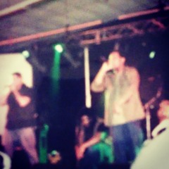 The Patterns - DJ ShortRock, E.coli, and, Zesto!