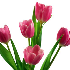 (52)(َالطُّورِ)﷽ وَالطُّورِ﴿١﴾وَكِتَابٍ مَّسْطُورٍ﴿٢﴾فِي رَقٍّ مَّنشُورٍ﴿٣﴾