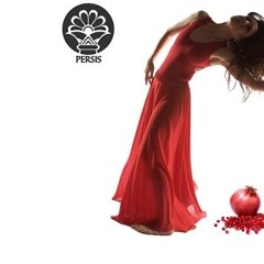 PerSiS - Yalda 2014 Radio Ad (Persian)