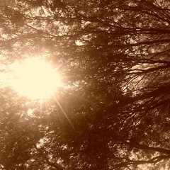 04 - El Último Amanecer