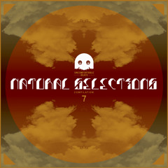 Roleo - Mrs Jonez (Natural Selections Out Now)