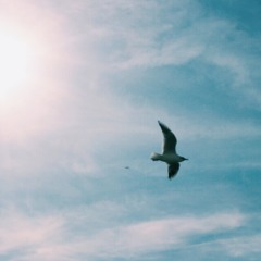 YANSIMALAR -  Mektup