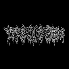 MUSCLƩS CΛVƩRN #18 | TERR0RISM