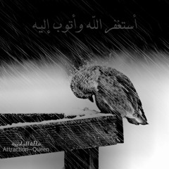 مفضله
