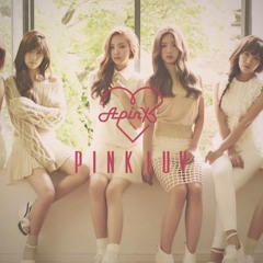 [COVER] Apink 에이핑크 - Secret [Pink Luv]