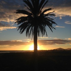 Out Of The Flamingo Box - Studio DJ Mix