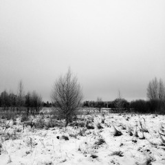 Tulid tuuled feat. Riho Sibul (2006)