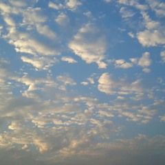 第一個清晨 cover