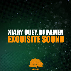 Xiary Quey & DJ Pamen - Exquisite Sound (Original Mix)