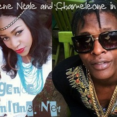 Easy by Irene Ntale & Dr. Jose chameleon