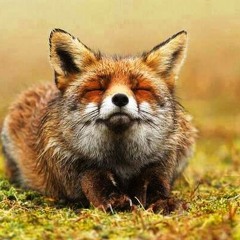 Free downloads for the love of melodic electronic :)