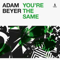 Adam Beyer - You're The Same - Truesoul - TRUE1253