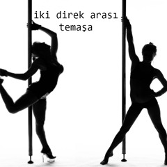 gecenin cır cır böceği parçaları