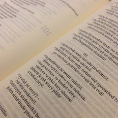 Wait For the Lord (Psalm 27:14)