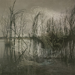 MYRA Valley 04 Abyss Feat. Michelle Darkness (End Of Green)