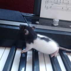 TANGO!!!!!!!!!!!!!!111