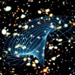 Temporal Lobe/ Track 4