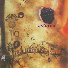 my way to run in a nutshell