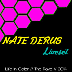 Nate Derus Live @ Life In Color - Fall 2014